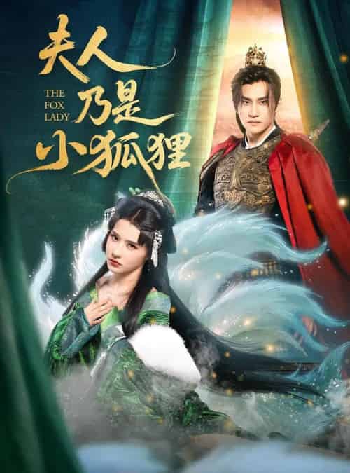 夫人乃是小狐狸 夫人乃是小狐狸