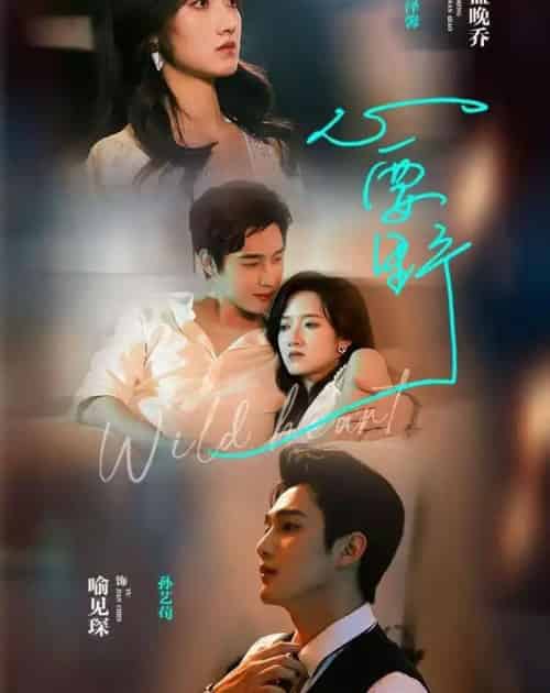 心要野（62集全）孙艺荀＆董夜馨-海之城短剧项目