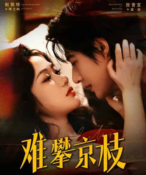 难攀京枝（74集全）赵振栋＆张晋宜-海之城短剧项目