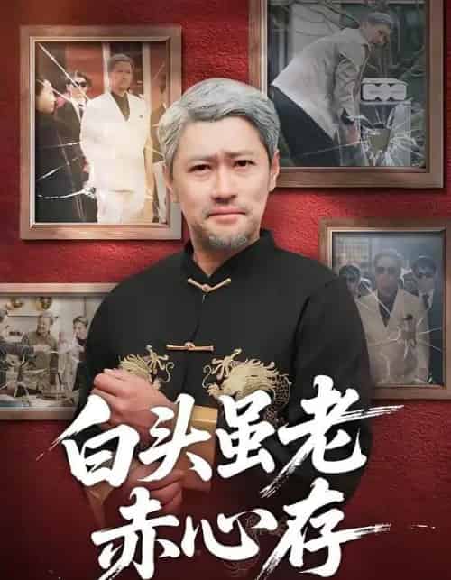 白头虽老赤心存（71集全）王争＆王晨-海之城短剧项目
