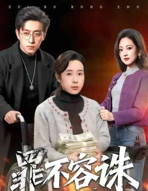 罪不容诛（80集全）林海燕＆王艺朴-海之城短剧项目