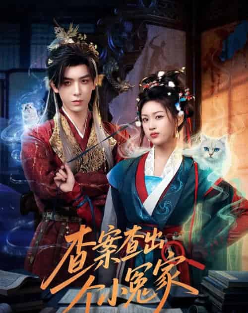 查案查出个小冤家（90集全）黄天崎＆谢卓亚-海之城短剧项目