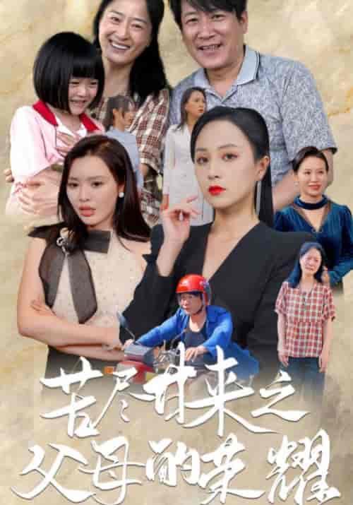 苦尽甘来之父母的荣耀（86集） - 海之城短剧