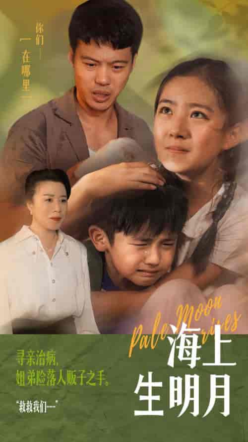 海上生明月（59集） - 海之城短剧