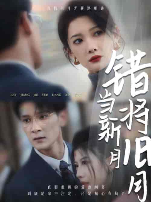 错将旧月当新月（35集全） - 海之城短剧