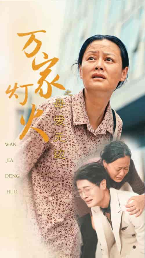 万家灯火之母爱无边 万家灯火之母爱无边