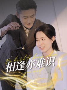 相逢亦难识（50集全） - 海之城短剧