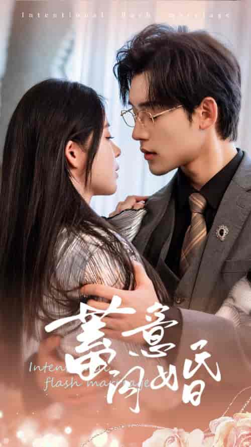 蓄意闪婚（68集全）赵慕颜 - 海之城短剧