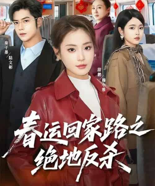春运回家路之绝地反杀（59集全）秦子墨＆甜鹅-海之城短剧项目