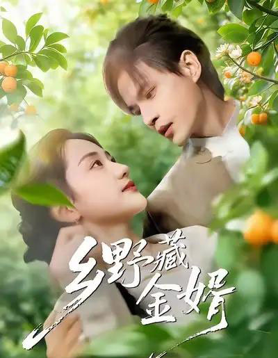 乡野藏金婿（50集全）冯琳玲＆吴杰-海之城短剧项目