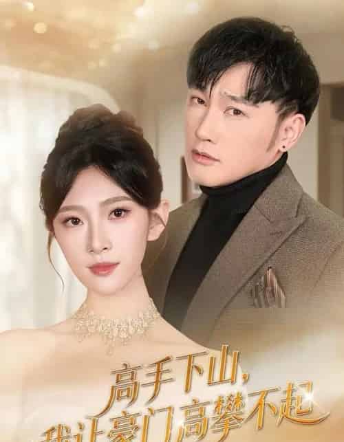 高手下山，我让豪门高攀不起（80集全）萧赫＆焦爱迪-海之城短剧项目