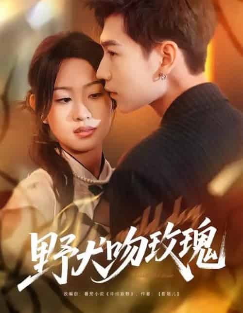 野犬吻玫瑰（70集全）王继冉＆孙园静-海之城短剧项目