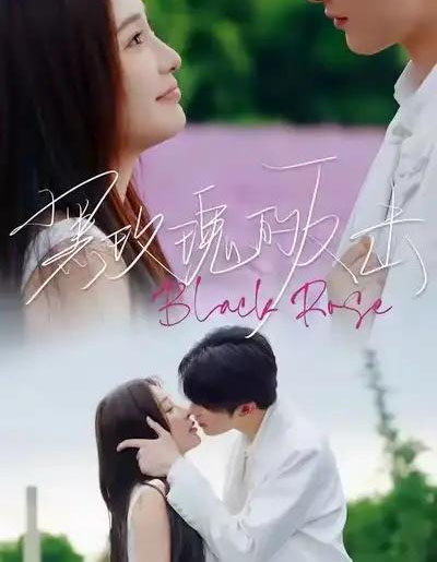 黑玫瑰的反击（47集全）裘哲夫＆焦娇-海之城短剧项目