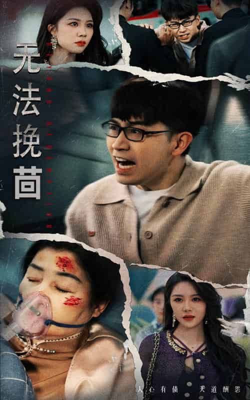 无法挽回（56集全）钟莹玲 - 海之城短剧