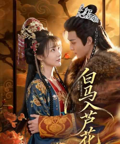 白马入芦花（59集全）纪忠庆＆杨舒亦-海之城短剧项目