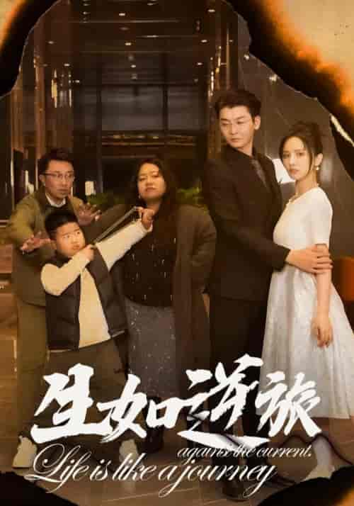 生如逆旅（31集全） - 海之城短剧