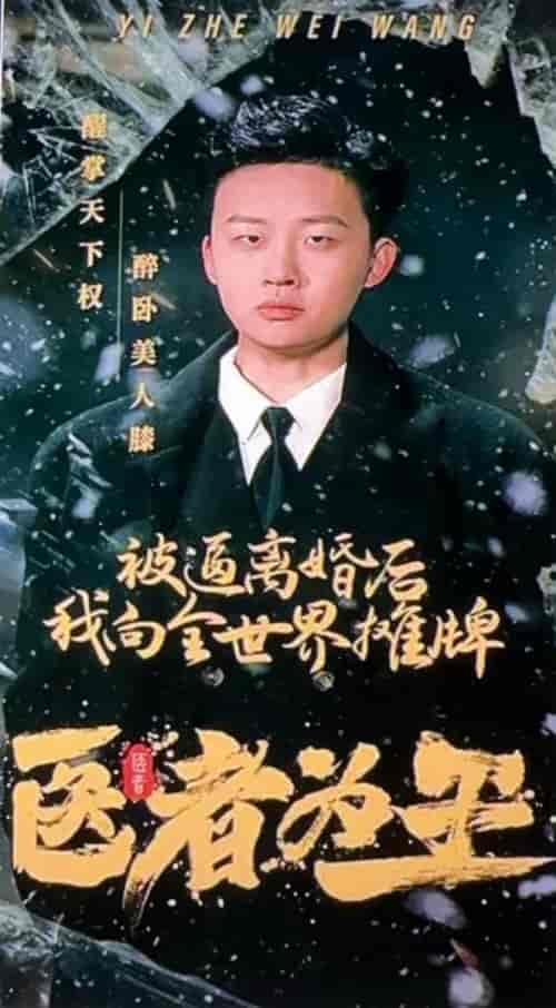 医者为王被迫离婚后我向全世界摊牌（98集） - 海之城短剧