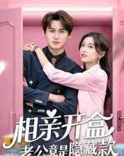 相亲开盒老公竟是隐藏款（50集）肖涵＆刘玉姣-海之城短剧项目