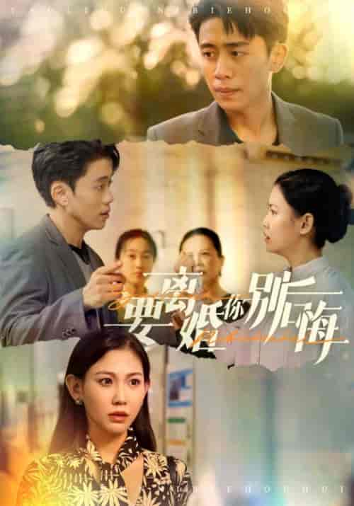 要离婚你别后悔（34集全）陈远＆宋惜惜 - 海之城短剧