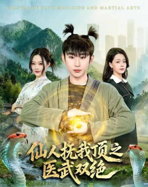 仙人抚我顶之医武双绝（66集全）范经明＆李佑金-海之城短剧项目
