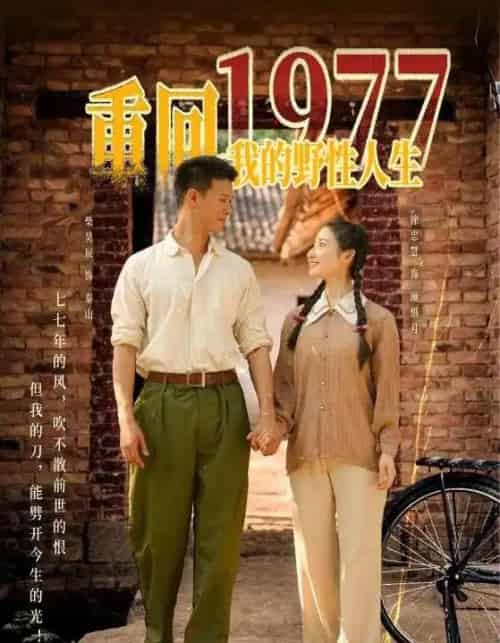 重回1977我的野性人生（83集）柴昊辰＆徐忠慧 - 海之城短剧