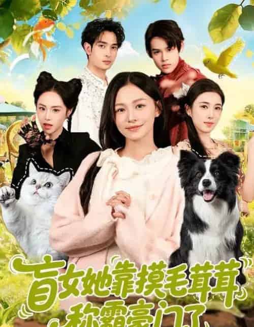 盲女她靠摸毛茸茸称霸豪门了（84集全）陈洁怡＆范骏羽-海之城短剧项目