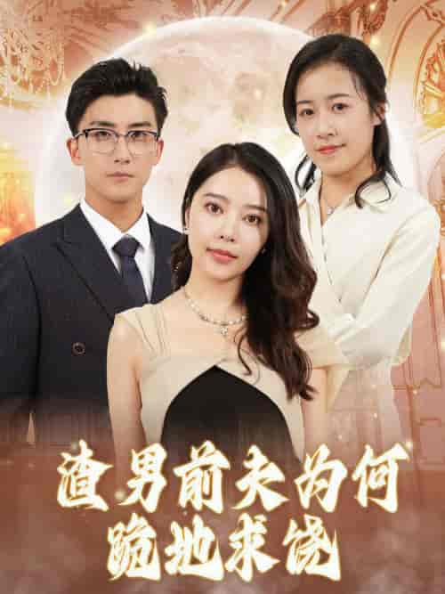 渣男前夫为何跪地求饶（30集全） - 海之城短剧