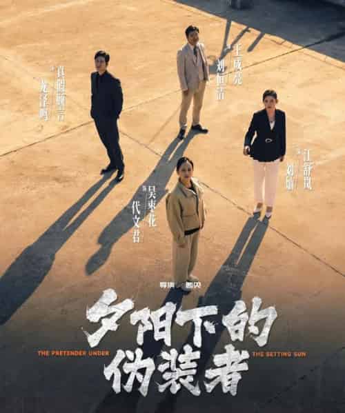 夕阳下的伪装者（47集全）刘灿＆龙泽鸣-海之城短剧项目