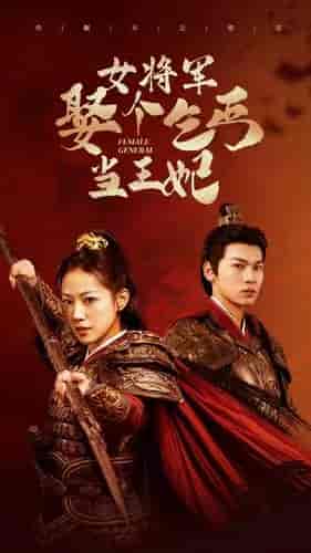 女将军娶个乞丐当王妃 女将军娶个乞丐当王妃