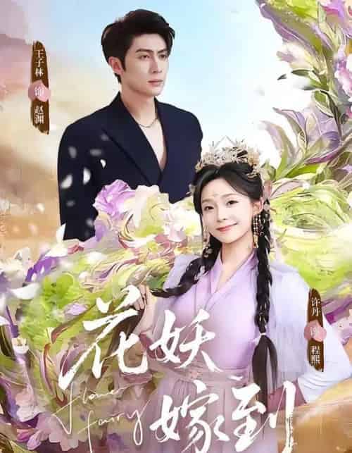 花妖嫁到（63集全）王子林＆许丹-海之城短剧项目