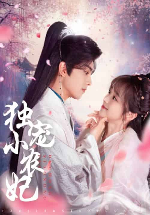 独宠小农妃（63集全）萧璟珩＆沈娇娇 - 海之城短剧