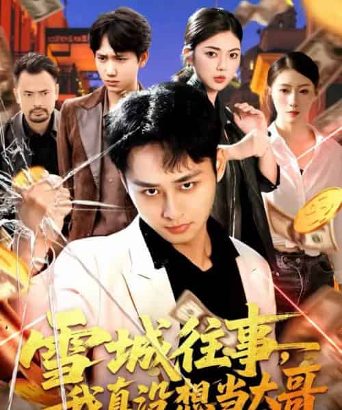 雪城往事，我真没想当大哥（99集全）卢艺煊＆邵迪-海之城短剧项目