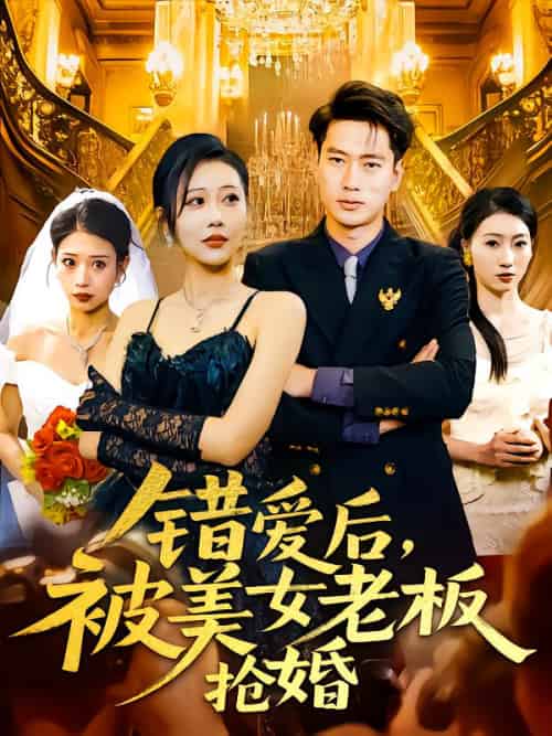 错爱后被美女老板抢婚（80集）邰靖懿 - 海之城短剧