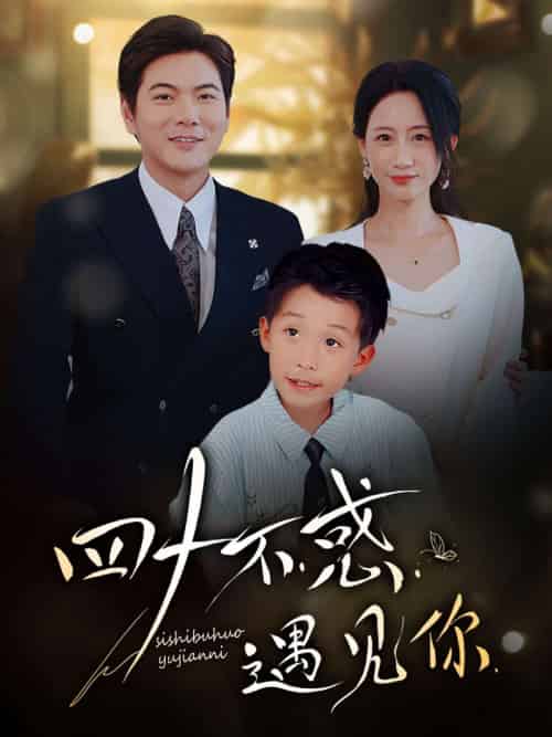 四十不惑遇见你（66集）王菀晨＆刘林-海之城短剧项目