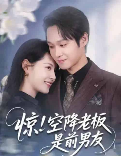 惊！空降老板是前男友（65集全）董洁＆王金泽-海之城短剧项目