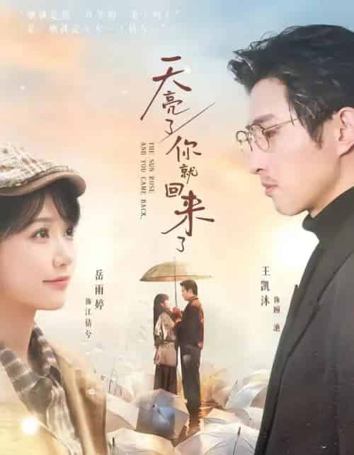 天亮了，你就回来了（63集全）王凯沐＆岳雨婷-海之城短剧项目