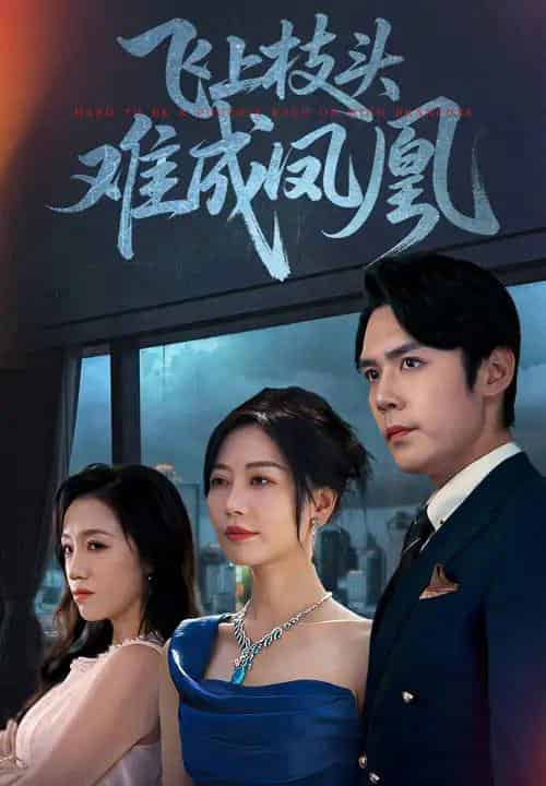 飞上枝头难成凤凰（47集全）刘清心＆王亦宸-海之城短剧项目