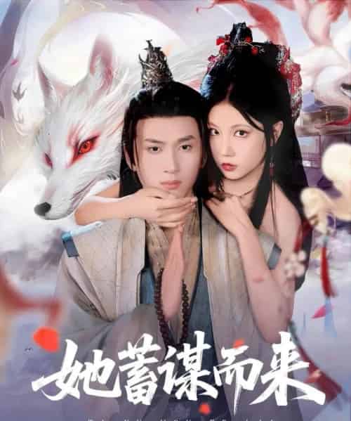 她蓄谋而来 她蓄谋而来
