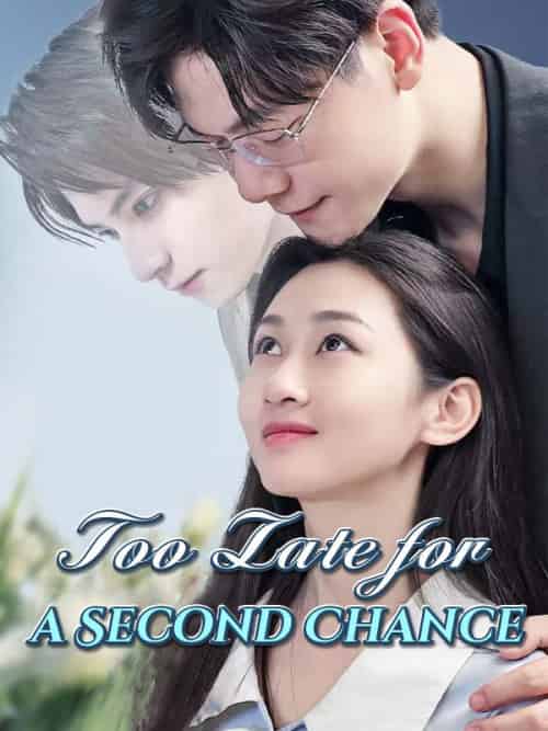 Too Late for a Second Chance（80集全）Nancy＆Roberts＆＆Daniel＆Smith - 海之城海外短剧