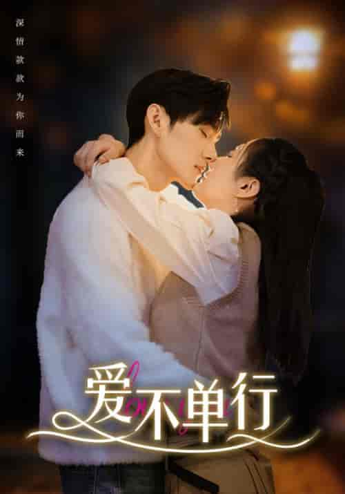 爱不单行（102集） - 海之城短剧
