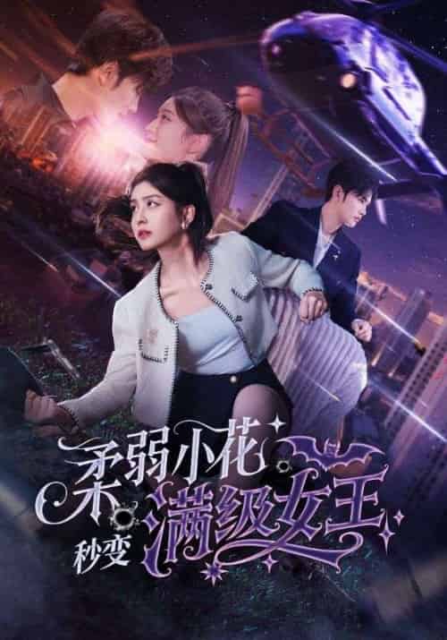 柔弱小花秒变满级女王 柔弱小花秒变满级女王