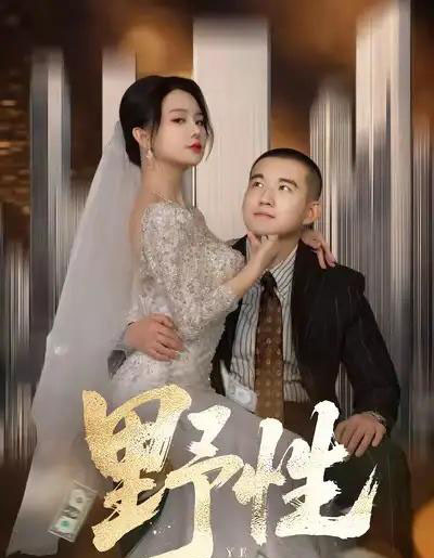 野性＆分手后，顶头上司要嫁我（70集全）阎论＆梦露-海之城短剧项目