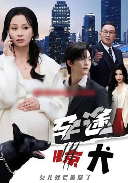 孕途惊犬，女儿奴老爸怒了（30集全）钱怡＆彭梓洋-海之城短剧项目