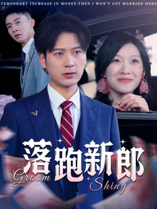 落跑新郎（80集全） - 海之城短剧