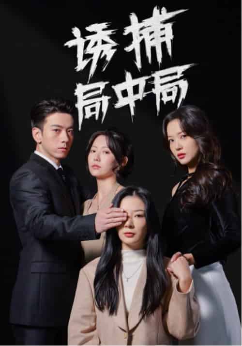 诱捕局中局＆夜色暗涌（42集全）孙飞翔＆林初 - 海之城短剧