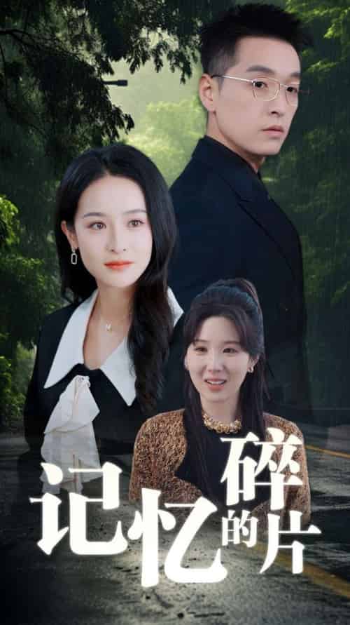 记忆的碎片（50集全）赵龙＆王蔼玲 - 海之城短剧