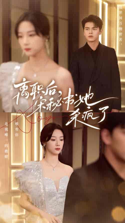 离职后，宋秘书她杀疯了（71集全）佐铭 - 海之城短剧