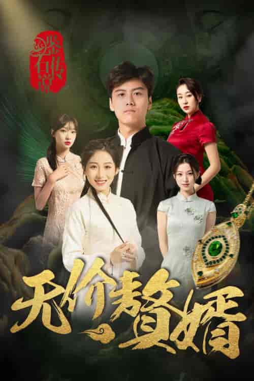 鉴宝传说之无价赘婿（100集全）丁磊 侯雨彤 - 海之城短剧