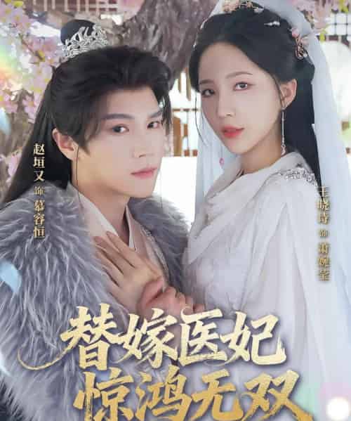 替嫁医妃惊鸿无双（64集）赵垣又＆王晓诗 - 海之城短剧