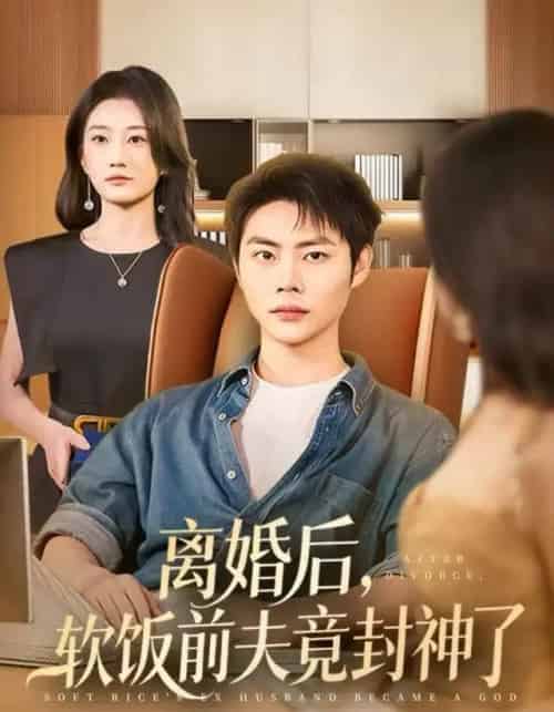 离婚后，软饭前夫竟封神了（78集全）林元元＆肖智夫-海之城短剧项目